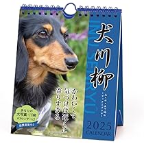 ダックス　２点セット 61y-iW+I4ML._AC_UL210_SR210,